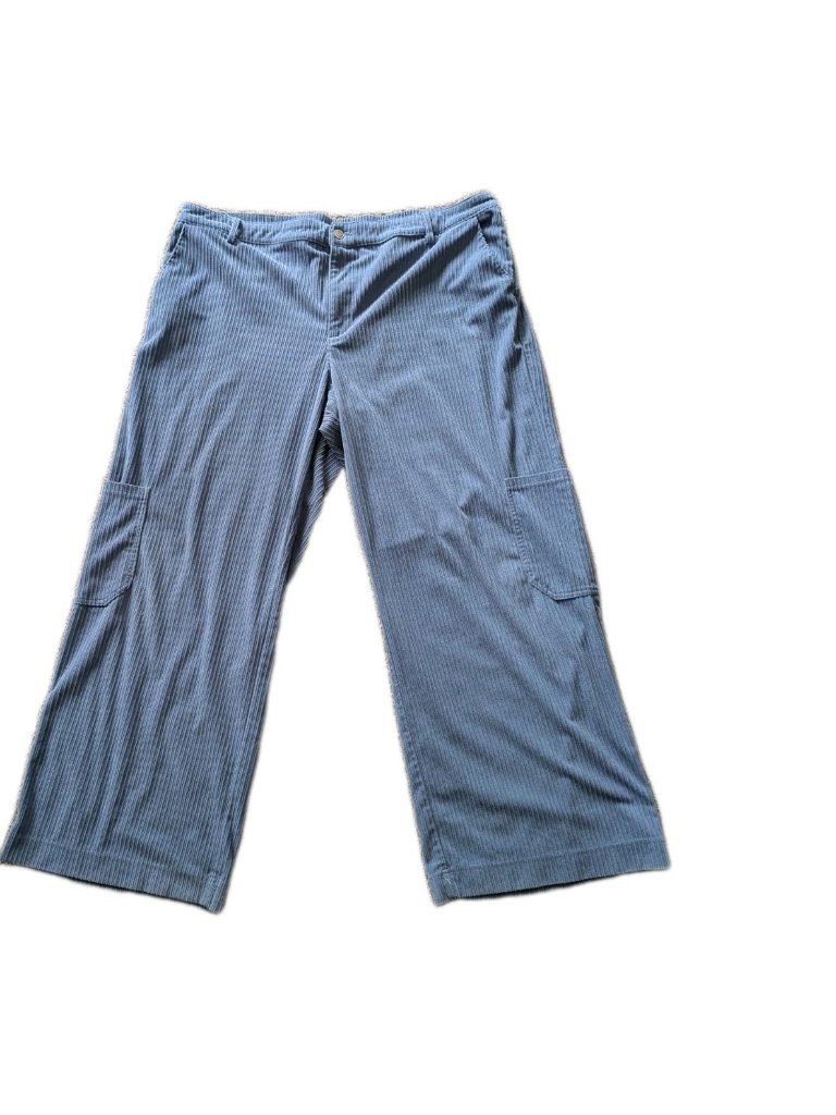Corduroy Baggy Wide Leg Sky Blue Women Xxl Pants Wild Fable Beach, Disco